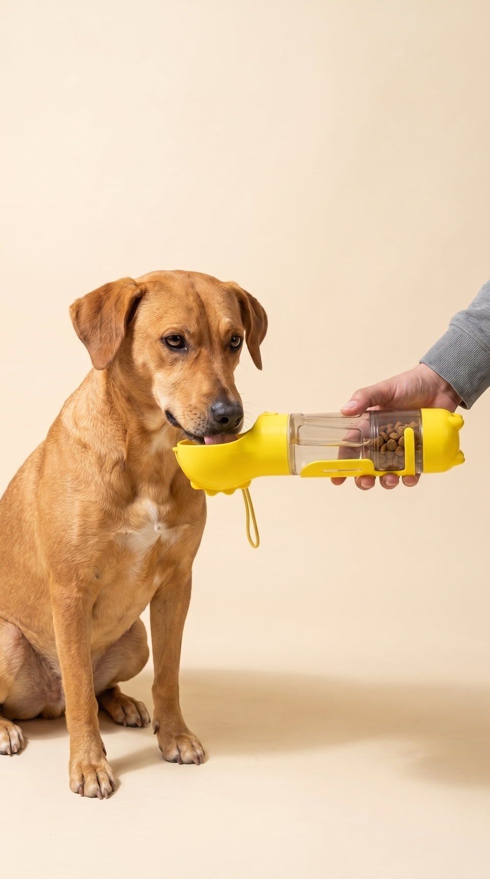 Perro criollo tomando agua del bebedero 4 en 1